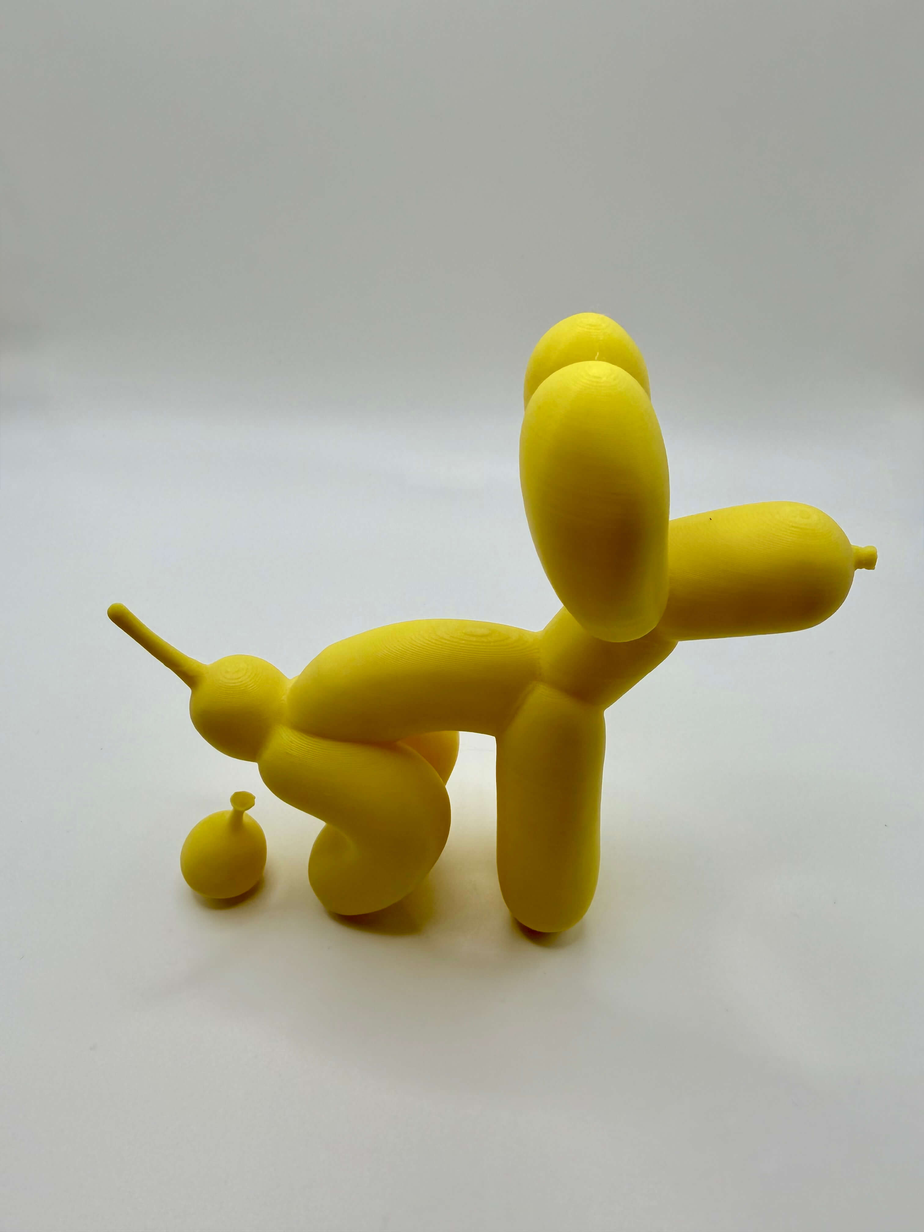 3D Printed Project